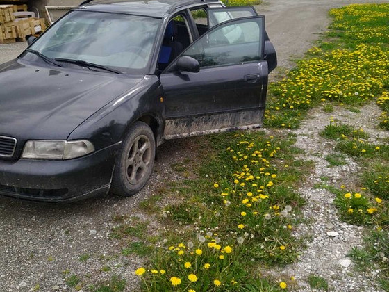 Audi a4 varuosadeks