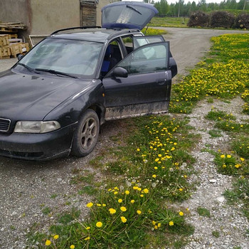 Audi a4 varuosadeks