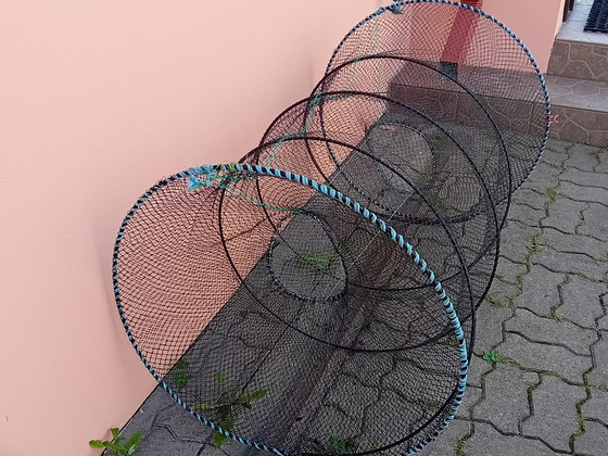 Püünis