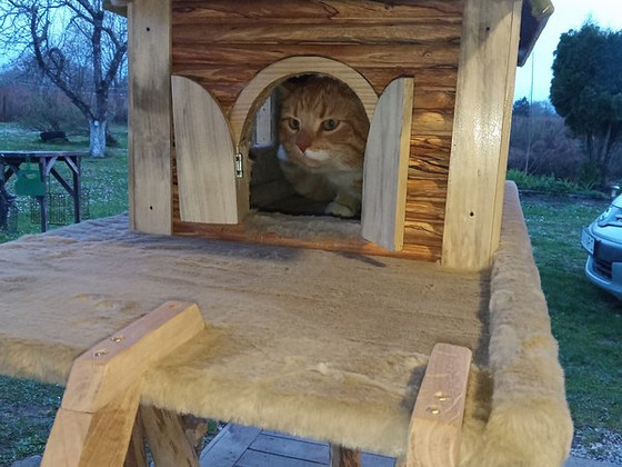 Двухэтажный домик для кота. Kahekordne kassi majake