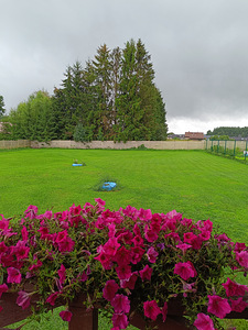Koerte hooldus (2 foto / 10)
