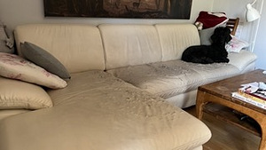 Tasuta diivanile järeletulemine (2 foto / 6)