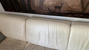 Tasuta diivanile järeletulemine (6 foto / 6)