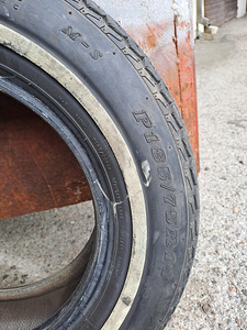 Dunlop questor radial 185x75r14 (1 фото из 3)