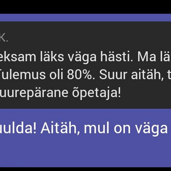 Eesti keele tunnid / Estonian lessons