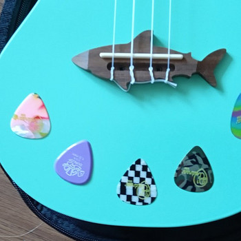 Ukulele, 6 kirka ja ümbris
