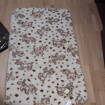Tekk 100x150 villast