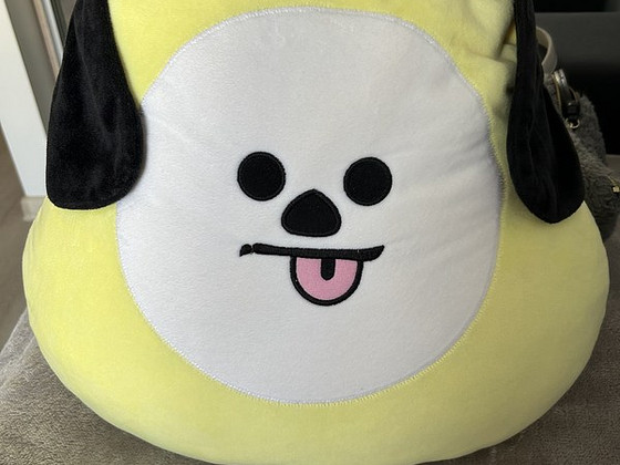 BTS Chimmy padi