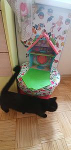 Maja (2 foto / 2)