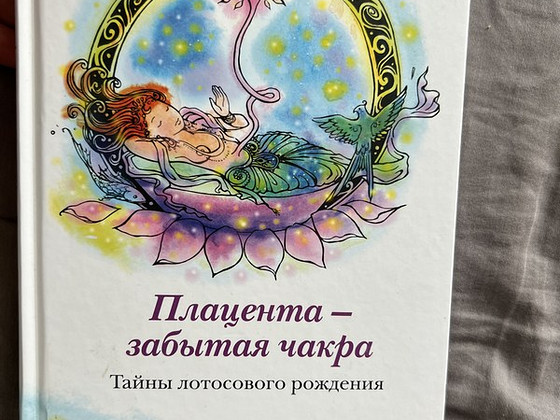 Плацента- забытая чакра книга Робин Лим