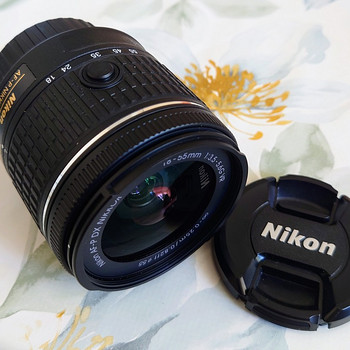AF-P DX NIKKOR 18-55mm f/3.5-5.6G VR