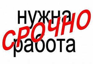 Я ищу работу. (1 фото из 1)
