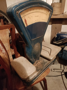 Vene kaal (3 foto / 3)