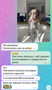 Loomapidaja haridusega lemmikloomahoidja (9 foto / 10)