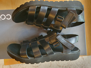Kingad (3 foto / 3)