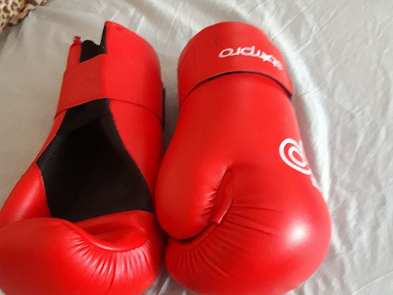 Перчатки для тыквандо