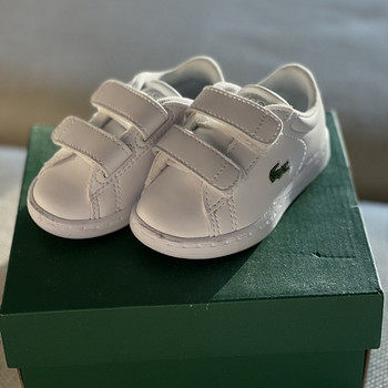 Lacoste papud beebile