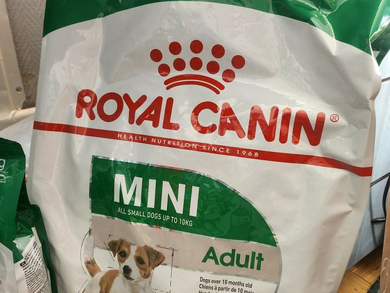 Royal canin mini