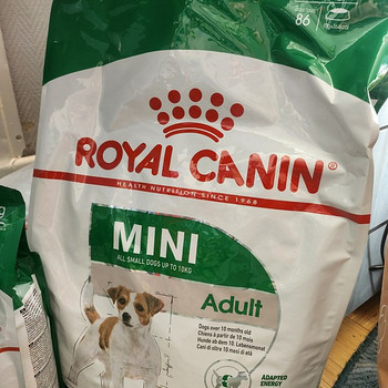 Royal canin mini