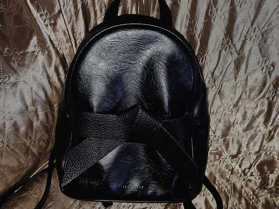 Сумка Ted Baker