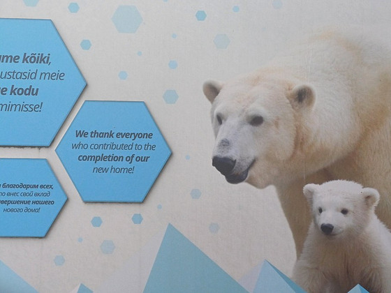 Экскурсия в ZOO - Таллиннский зоопарк