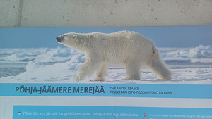Экскурсия в ZOO - Таллиннский зоопарк (5 фото из 10)