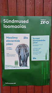 Экскурсия в ZOO - Таллиннский зоопарк (7 фото из 10)