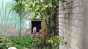 Экскурсия в ZOO - Таллиннский зоопарк (8 фото из 10)