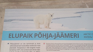 Экскурсия в ZOO - Таллиннский зоопарк (9 фото из 10)