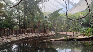 Экскурсия в ZOO - Таллиннский зоопарк (10 фото из 10)