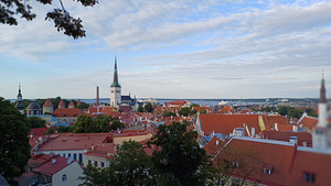Vanalinna ekskursioon - Tallinn piltidel (8 foto / 10)