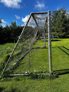 Jalgpallivärav (2 foto / 4)
