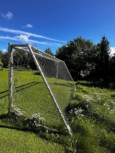 Jalgpallivärav (3 foto / 4)