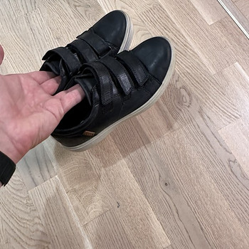 Ecco