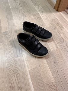 Ecco (5 фото из 5)