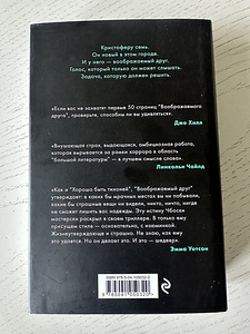 Stephen Chbosky "Imaginaarne sõber" (2 foto / 3)