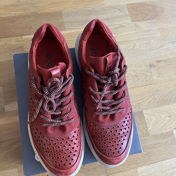 ECCO 38