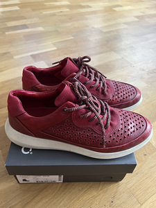 ECCO 38 (2 фото из 3)