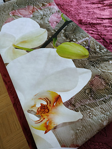 FOTOTAPETI 300-210 (2 foto / 10)