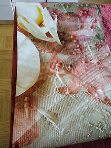 FOTOTAPETI 300-210 (3 foto / 10)