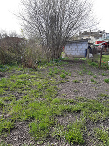 Aruserva, Sompa, Jõhvi vald, Ida-Virumaa (5 фото из 14)