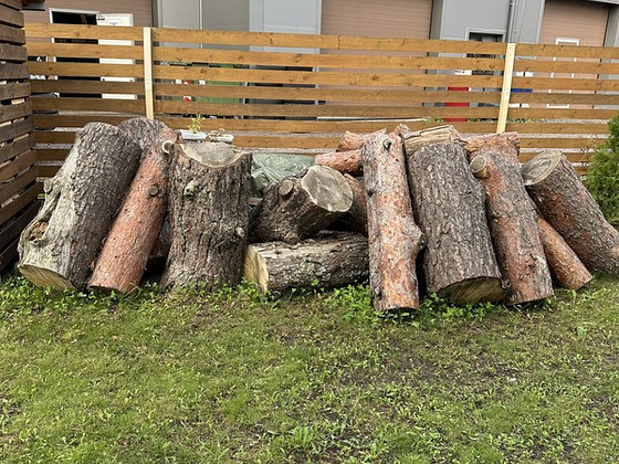 Mänd/Mänd 2 kuubikut