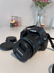 Canon EOS 250D + EF-S 18–55 мм IS II + EF 75–300 мм III (4 фото из 4)