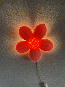 LED seinavalgusti (2 foto / 2)