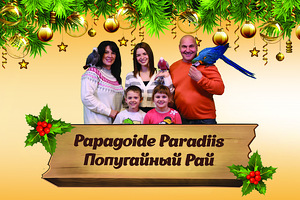 Kinkekaart (30-50-100 euro) "Papagoide Paradiis" (1 foto / 8)