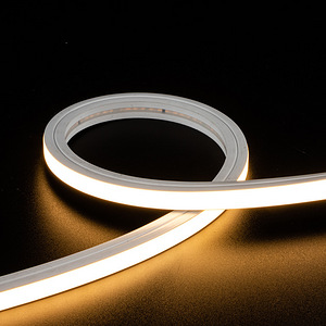 Neon Flex Led 24v, 18mm x 12mm, IP65 10m (1 foto / 3)