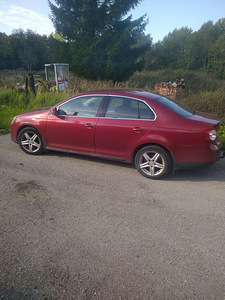 Jetta (7 фото из 7)