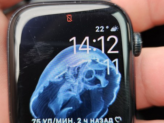 Apple Watch SE
