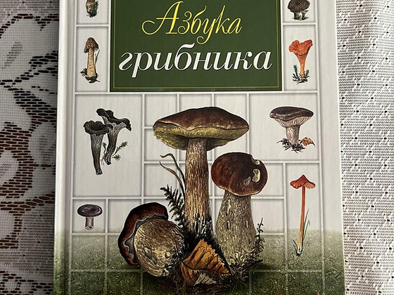 Азбука грибника