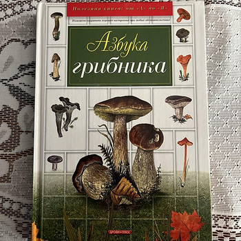 Азбука грибника